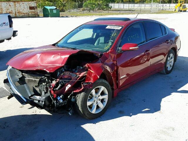 1N4CL21E18C154615 - 2008 NISSAN ALTIMA HYB RED photo 2