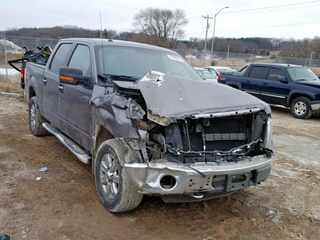 1FTFW1EF0EKD74888 - 2014 FORD F150 SUPER GRAY photo 1