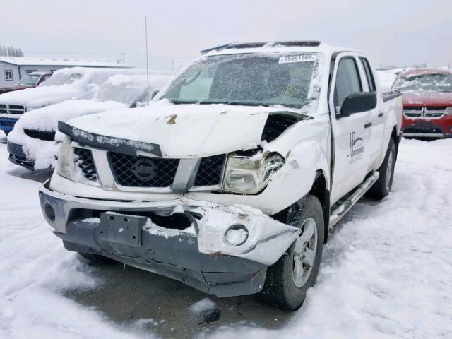 1N6AD07W75C463422 - 2005 NISSAN FRONTIER C WHITE photo 2