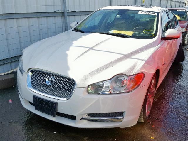 SAJWA0FA5AHR57350 - 2010 JAGUAR XF LUXURY WHITE photo 2