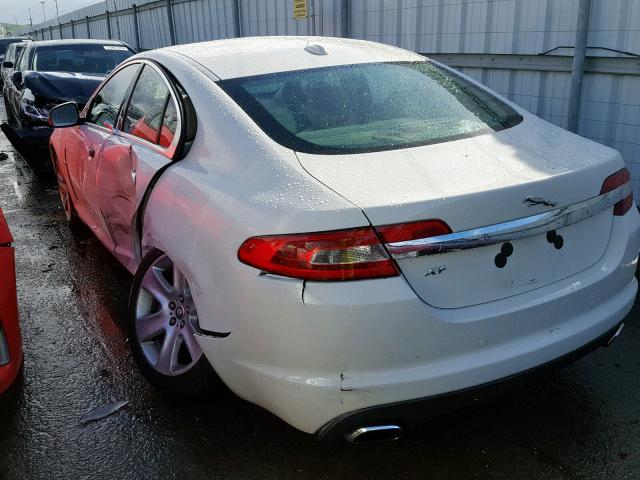 SAJWA0FA5AHR57350 - 2010 JAGUAR XF LUXURY WHITE photo 3