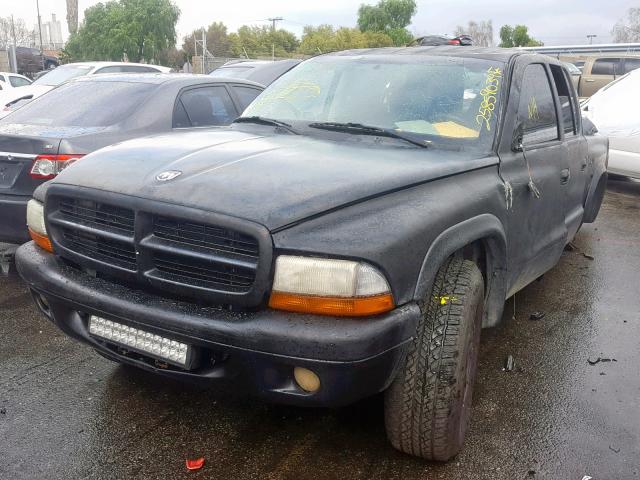 1D7HL38N33S209470 - 2003 DODGE DAKOTA QUA BLACK photo 2