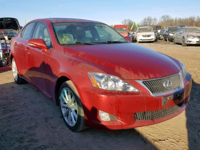 JTHCF5C22A5042274 - 2010 LEXUS IS 250 RED photo 1