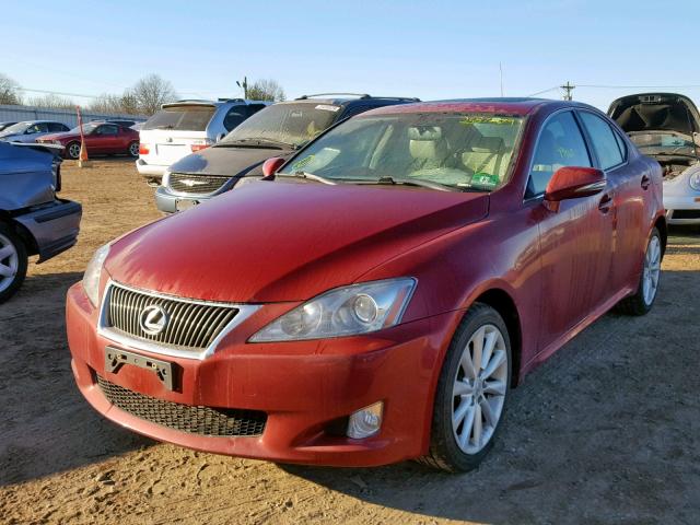 JTHCF5C22A5042274 - 2010 LEXUS IS 250 RED photo 2