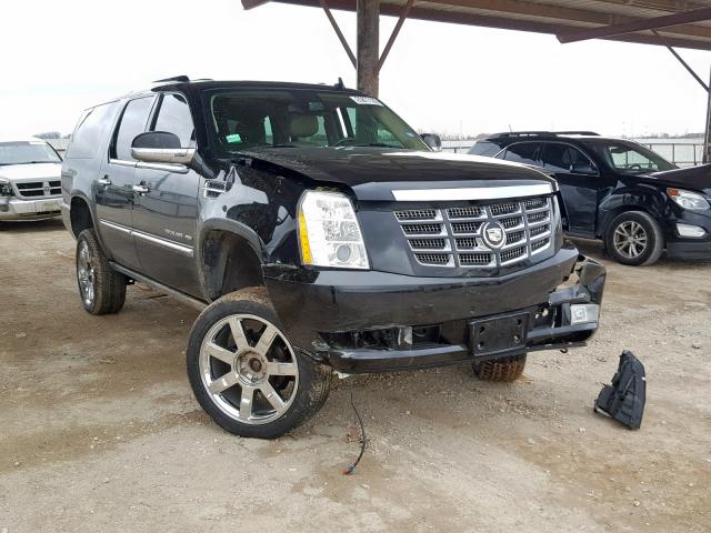 1GYUKJEF2AR227955 - 2010 CADILLAC ESCALADE E BLACK photo 1