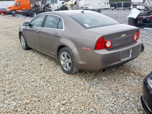 1G1ZD5EB4AF116988 - 2010 CHEVROLET MALIBU 2LT BEIGE photo 3