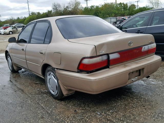 1NXBB02E8TZ433683 - 1996 TOYOTA COROLLA DX GOLD photo 3