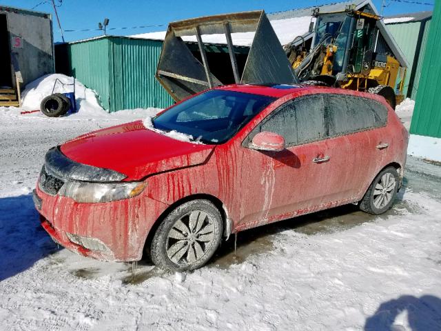 KNAFU5A28D5684281 - 2013 KIA FORTE EX RED photo 2