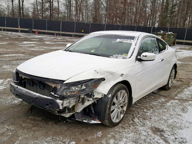 1HGCS21889A007231 - 2009 HONDA ACCORD EXL WHITE photo 2