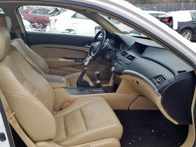 1HGCS21889A007231 - 2009 HONDA ACCORD EXL WHITE photo 5