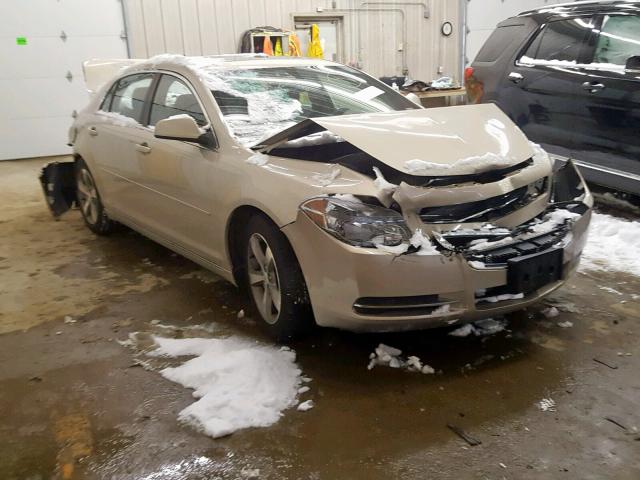 1G1ZC5E11BF259246 - 2011 CHEVROLET MALIBU 1LT ოქროსფერი ფოტო 1