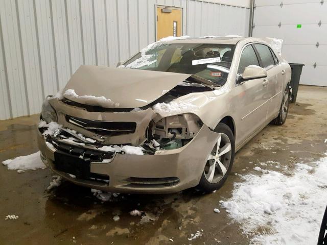 1G1ZC5E11BF259246 - 2011 CHEVROLET MALIBU 1LT ოქროსფერი ფოტო 2