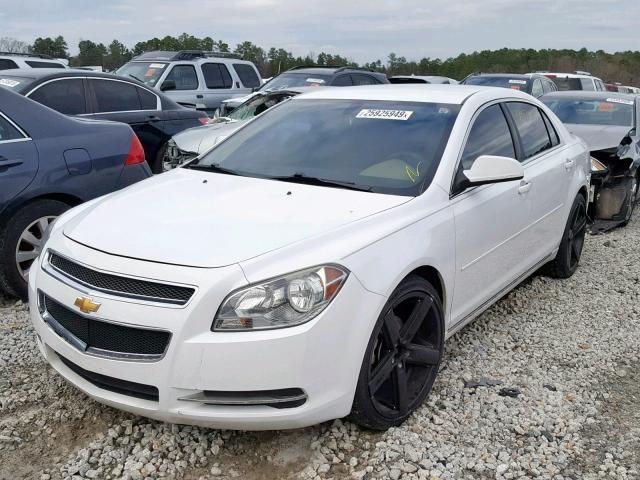 1G1ZC5EU0BF111101 - 2011 CHEVROLET MALIBU 1LT თეთრი ფოტო 2