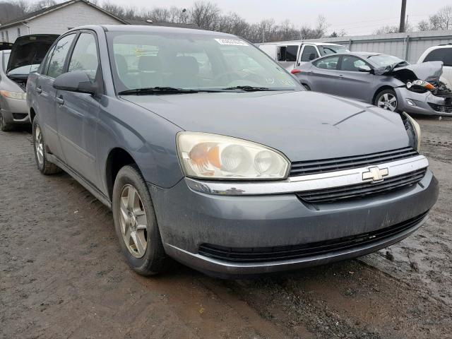 1G1ZT548X5F234705 - 2005 CHEVROLET MALIBU LS Boz foto 1