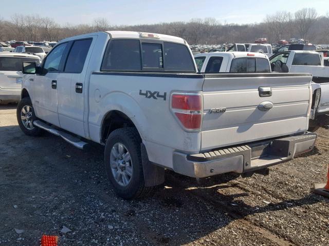 1FTFW1ET8BFB88705 - 2011 FORD F150 SUPER WHITE photo 3