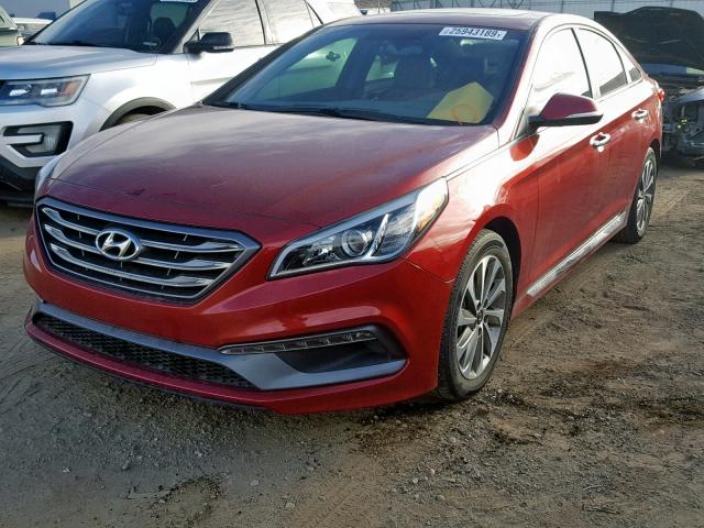 5NPE34AF7GH415904 - 2016 HYUNDAI SONATA SPO RED photo 2