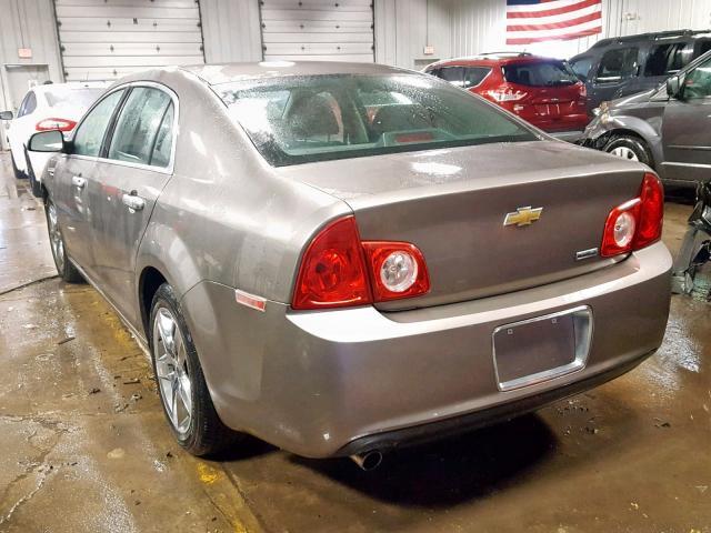 1G1ZC5E07AF230839 - 2010 CHEVROLET MALIBU 1LT GOLD photo 3