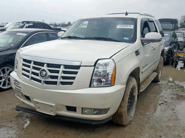 1GYFK63897R242228 - 2007 CADILLAC ESCALADE L CREAM photo 2