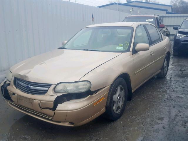 1G1NE52J12M558566 - 2002 CHEVROLET MALIBU LS GOLD photo 2