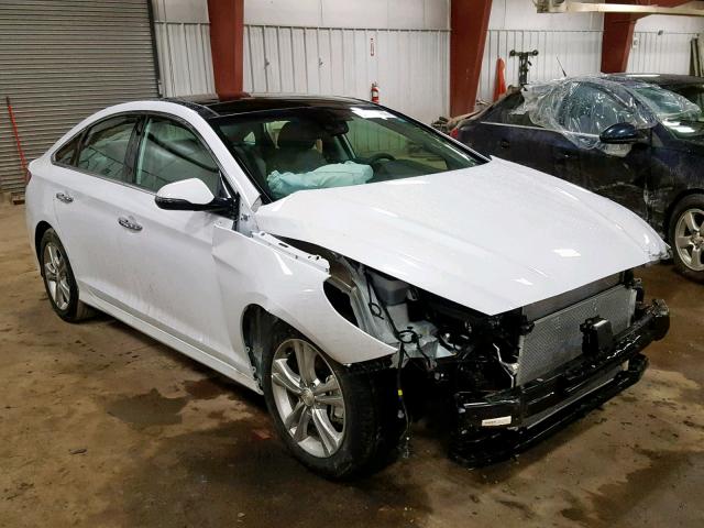 5NPE34AF0KH735736 - 2019 HYUNDAI SONATA SPO WHITE photo 1