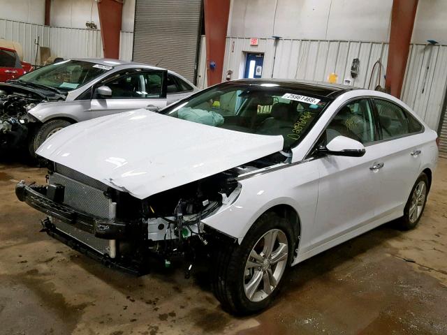 5NPE34AF0KH735736 - 2019 HYUNDAI SONATA SPO WHITE photo 2