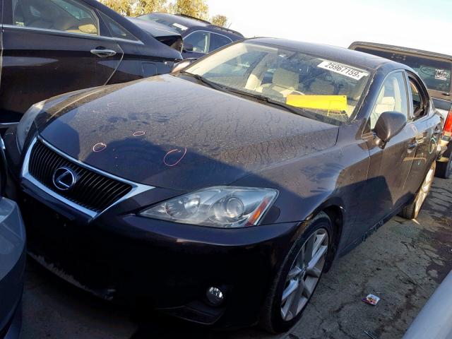 JTHBF5C29C5175614 - 2012 LEXUS IS 250 PURPLE photo 2