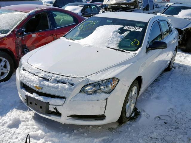 1G1ZA5E02CF372766 - 2012 CHEVROLET MALIBU LS WHITE photo 2