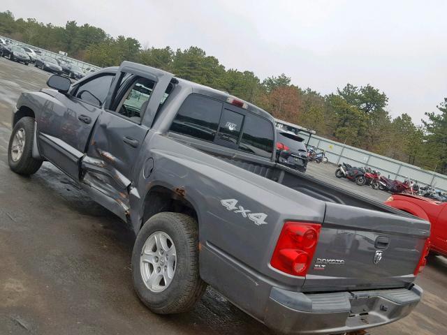 1D7HW48K97S141457 - 2007 DODGE DAKOTA QUA GRAY photo 3