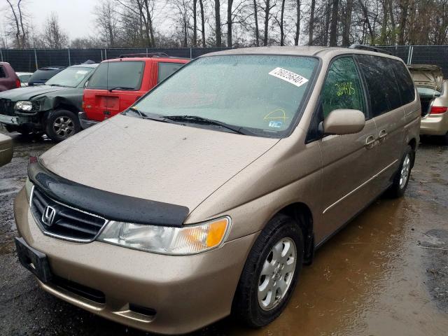 5FNRL18014B119756 - 2004 HONDA ODYSSEY EXL  photo 2