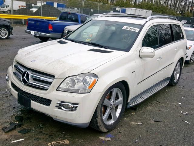 4JGBF25E09A501934 - 2009 MERCEDES-BENZ GL WHITE photo 2