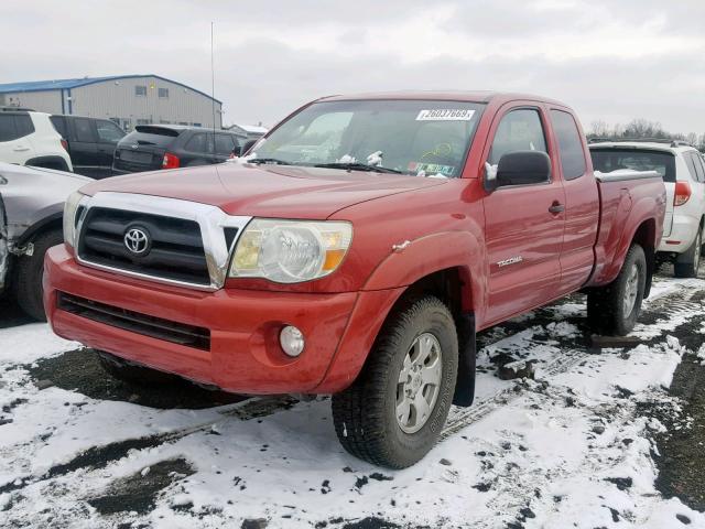 5TEUU42N57Z375852 - 2007 TOYOTA TACOMA ACC RED photo 2