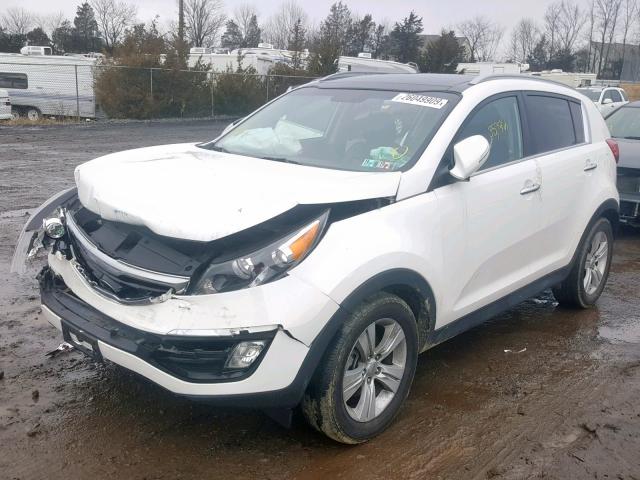 KNDPC3A63G7815630 - 2016 KIA SPORTAGE E WHITE photo 2