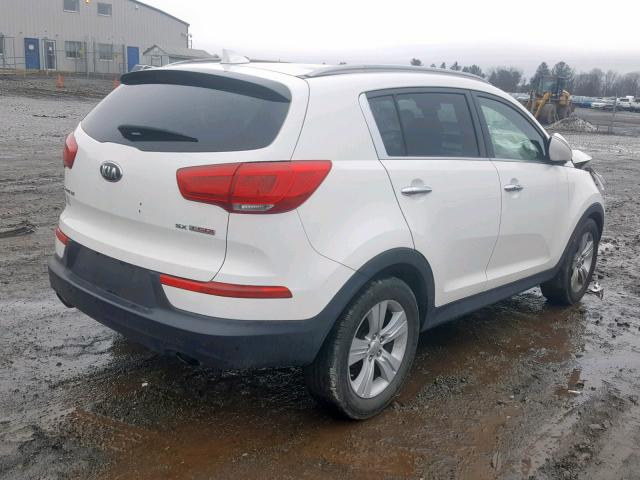 KNDPC3A63G7815630 - 2016 KIA SPORTAGE E WHITE photo 4