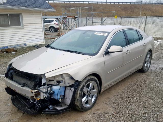 1G1ZC5EBXAF218931 - 2010 CHEVROLET MALIBU 1LT CREAM photo 2