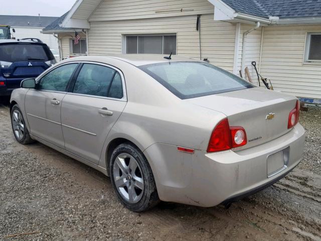 1G1ZC5EBXAF218931 - 2010 CHEVROLET MALIBU 1LT CREAM photo 3