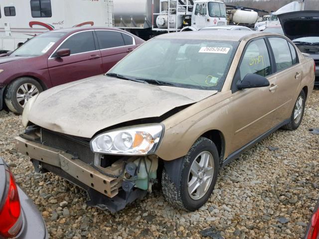 1G1ZT54875F234516 - 2005 CHEVROLET MALIBU LS GOLD photo 2