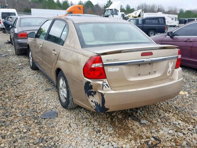 1G1ZT54875F234516 - 2005 CHEVROLET MALIBU LS GOLD photo 3