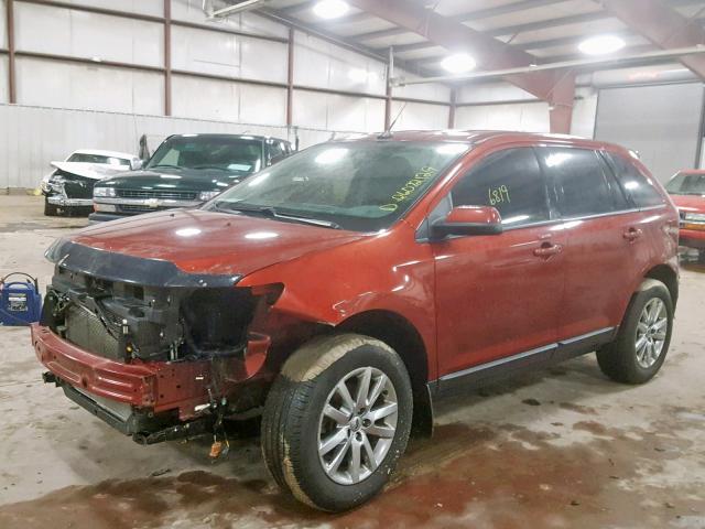 2FMDK3JCXEBB81499 - 2014 FORD EDGE SEL ORANGE photo 2