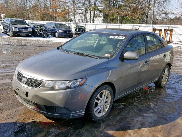 KNAFU4A2XC5497987 - 2012 KIA FORTE EX GRAY photo 2