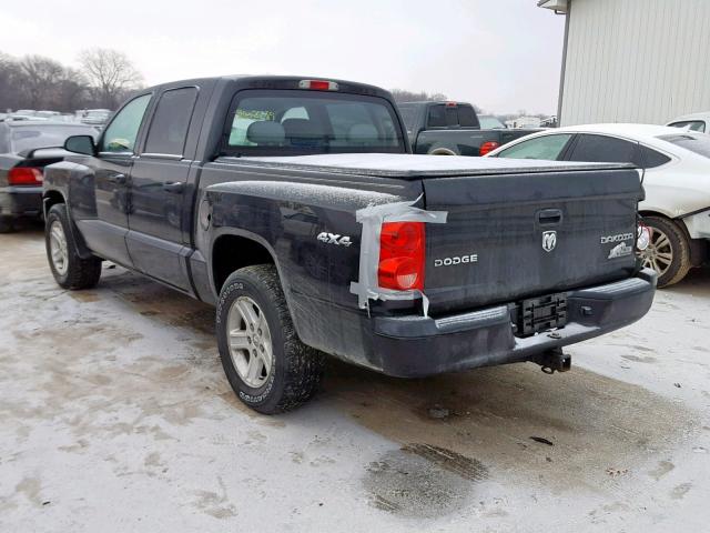 1D7RW3GK7BS638743 - 2011 DODGE DAKOTA SLT BLACK photo 3