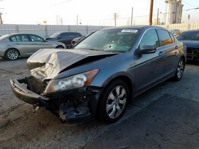 JHMCP268X8C065013 - 2008 HONDA ACCORD EXL  photo 2