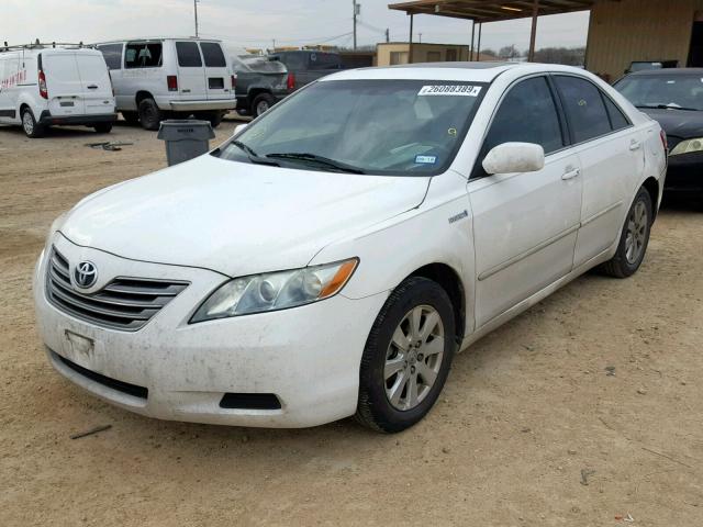 4T1BB46K19U090215 - 2009 TOYOTA CAMRY HYBR WHITE photo 2