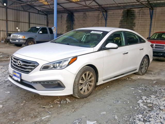 5NPE34AF7FH057931 - 2015 HYUNDAI SONATA SPO WHITE photo 2