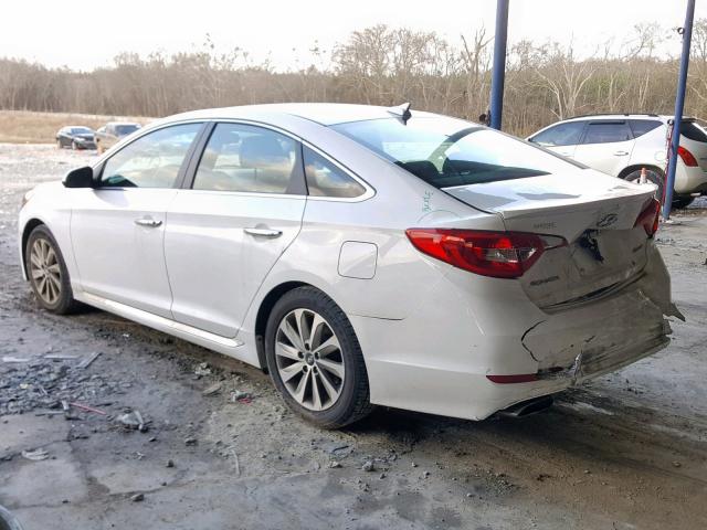 5NPE34AF7FH057931 - 2015 HYUNDAI SONATA SPO WHITE photo 3