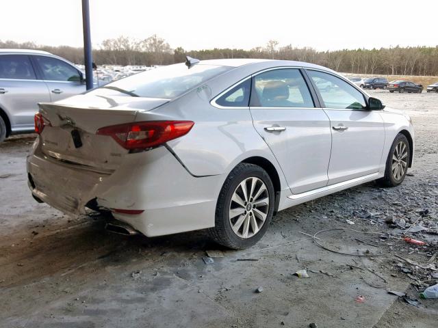 5NPE34AF7FH057931 - 2015 HYUNDAI SONATA SPO WHITE photo 4