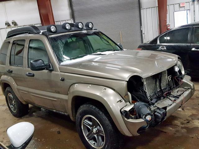 1J4GL38K03W633509 - 2003 JEEP LIBERTY RE TAN photo 10