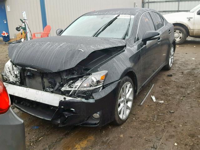 JTHCF5C23D5062862 - 2013 LEXUS IS 250 BLACK photo 2