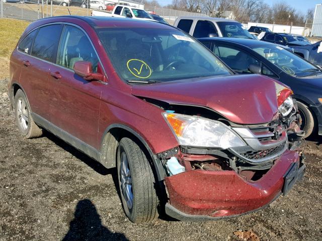 5J6RE4H76AL040904 - 2010 HONDA CR-V EXL RED photo 1