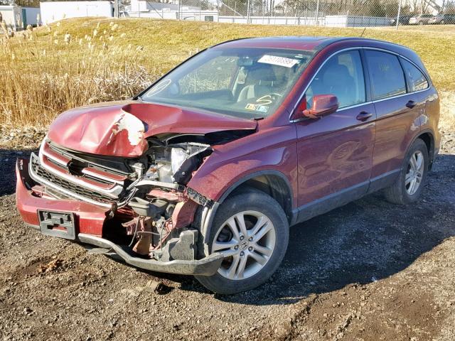 5J6RE4H76AL040904 - 2010 HONDA CR-V EXL RED photo 2