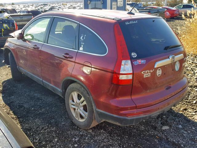 5J6RE4H76AL040904 - 2010 HONDA CR-V EXL RED photo 3